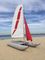 White / Red Inflatable Sailing Catamaran 6.05sqm Mainsail 2.2m Width With Two Sails supplier