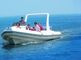Orca Hypalon inflatable rib boat 960cm 20 persons safety with large console supplier
